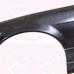 Wing, Left Front, without hole for direction indicator, 41 35 8 122 233 (BMW), 41 35 8 215 289 (BMW)