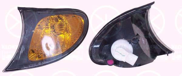 Direction Indicator, with bulb holder, yellow, Left Front, Housing Colour: black, 63 13 7 165 847 (BMW), 63 31 7 165 847 (BMW)