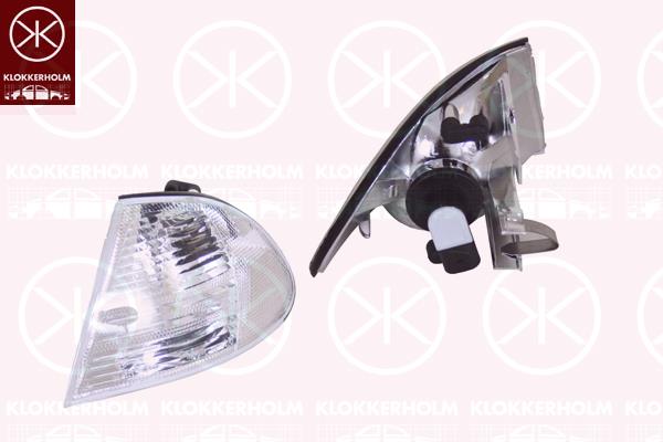 Direction Indicator, with bulb holder, white, Right, 63 12 8 387 344 (BMW), 63 13 6 902 770 (BMW), 63 31 6 902 770 (BMW)