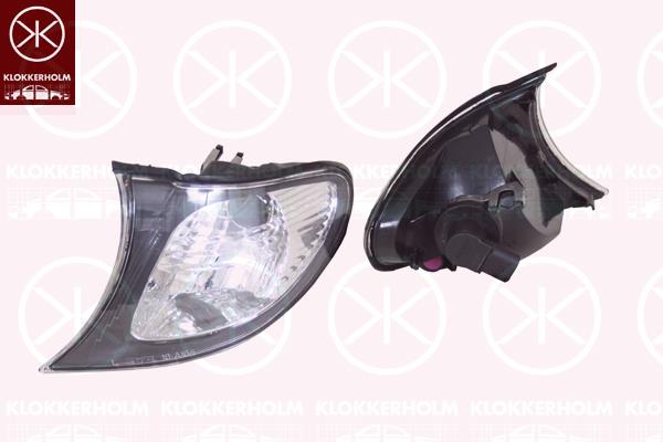 Direction Indicator, with bulb holder, Crystal clear, Left Front, Housing Colour: black, 63 13 6 914 199 (BMW), 63 13 7 165 849 (BMW)