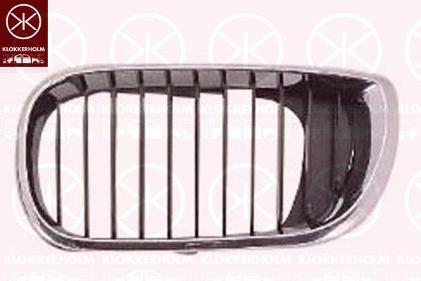 Radiator Grille, Left Front, black, Frame Colour: chrome, 51137030545 (BMW)