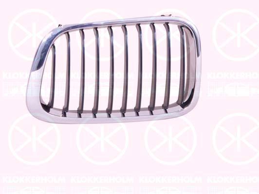 Radiator Grille, chrome/black, Left, 51 13 8 208 487 (BMW)