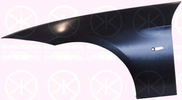 Wing, Left Front, with hole for direction indicator, Zinc-coated, 41 35 7 135 679 (BMW)