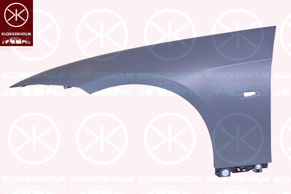 Wing, Right Front, with hole for direction indicator, Plastic, 41 35 7 168 988 (BMW)