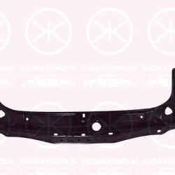 Radiator Support, Slam Panel, Full Body Section, 51 64 7 245 786 (BMW), 51 64 7 294 928 (BMW)