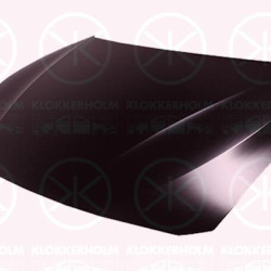 Bonnet, 41 00 7 290 944 (BMW)