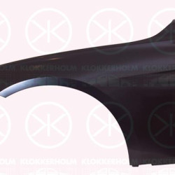 Wing, Right Front, 41 35 7 298 028 (BMW), 41007438440 (BMW), 41009621598 (BMW)