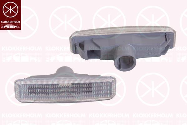 Direction Indicator, without bulb holder, white, lateral installation, 63 14 2 496 299 (BMW)