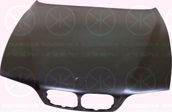 Bonnet, 41 61 8 167 798 (BMW), 41 61 8 238 592 (BMW)