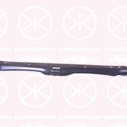 Radiator Support, Lock Panel, Lower Section, 51 64 7 054 360 (BMW), 51 64 7 163 462 (BMW)