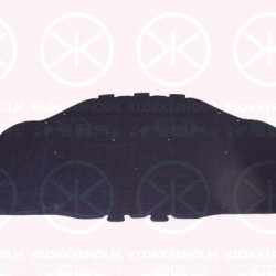 Engine Compartment Noise Insulation, Centre Section, Fitting Position: Bonnet, 51487148208 (BMW)