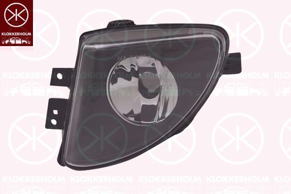 Rūko žibintas, for vehicles with electr. auxiliary heater, H8 (kairė), 63 17 7 216 887 (BMW)