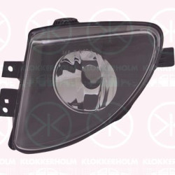 Rūko žibintas, for vehicles with electr. auxiliary heater, H8 (kairė), 63 17 7 216 887 (BMW)