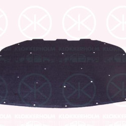 Engine Compartment Noise Insulation, Centre Section, Fitting Position: Bonnet, 51486989301 (BMW)