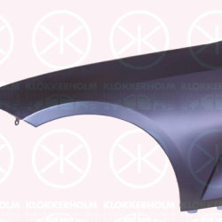 Wing, Aluminium, Right Front, 41 00 8 494 440 (BMW)