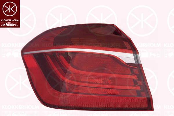 Tail Light Assembly, Left, Outer section, without bulb holder, 63 21 7 311 029 (BMW)