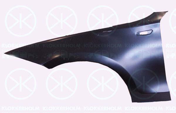 Wing, Right Front, with hole for direction indicator, 41 35 7 133 228 (BMW)