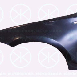 Wing, Right Front, with hole for direction indicator, 41 35 7 133 228 (BMW)