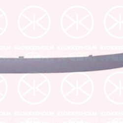 Trim/Protection Strip, bumper, w/primer, Right Front, 51 11 7 058 458 (BMW), 51 11 7 136 636 (BMW)