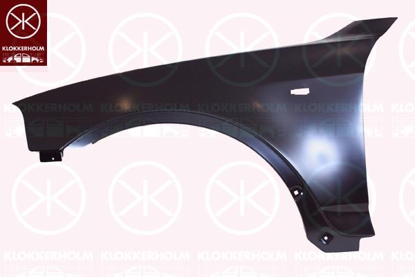 Wing, Left Front, with hole for direction indicator, 41 35 3 405 921 (BMW)