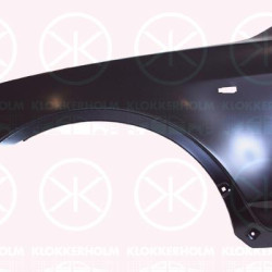 Wing, Left Front, with hole for direction indicator, 41 35 3 405 921 (BMW)