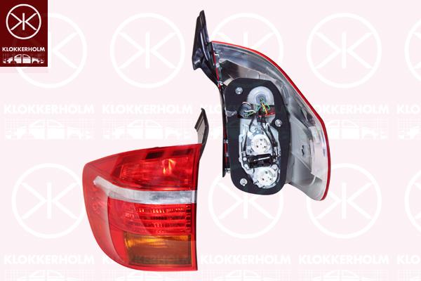 Tail Light Assembly, Left, Outer section, LED, with bulb holder, 63 21 7 158 939 (BMW), 63 21 7 200 817 (BMW)