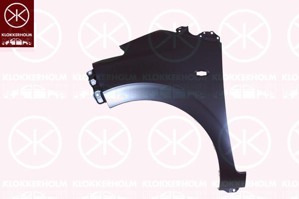 Wing, Left Front, with hole for direction indicator, 1687141580 (CITROEN), B000910880 (CITROEN)