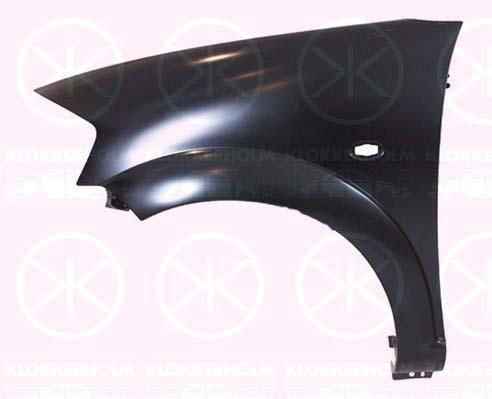 Wing, Right Front, with hole for direction indicator, not for trim level: VTR, XTR, 7841 P4 (DS), 7841 P4 (CITROEN), 7841R3 (DS), 7841R3 (CITROEN)