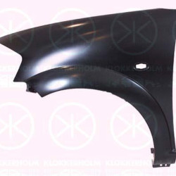 Wing, Right Front, with hole for direction indicator, not for trim level: VTR, XTR, 7841 P4 (DS), 7841 P4 (CITROEN), 7841R3 (DS), 7841R3 (CITROEN)