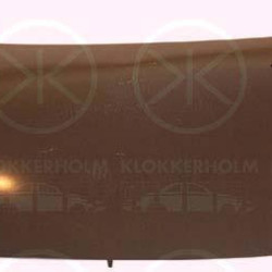 Bonnet, Zinc-coated, 7901 N0 (DS), 7901 N0 (CITROEN)