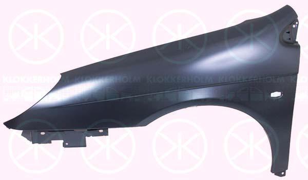 Wing, Right Front, with hole for direction indicator, 7841 S1 (DS), 7841 S1 (CITROEN), 7841N6 (DS), 7841N6 (CITROEN)