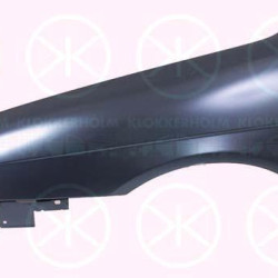 Wing, Right Front, with hole for direction indicator, 7841 S1 (DS), 7841 S1 (CITROEN), 7841N6 (DS), 7841N6 (CITROEN)