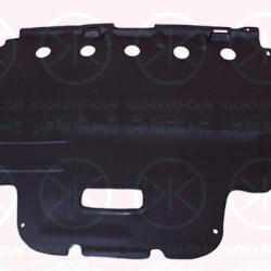 Engine Cover, petrol, Lower Section, 7013 N8 (DS), 7013 N8 (CITROEN)