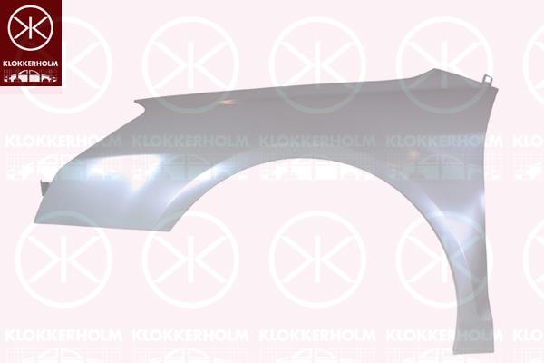 Wing, Left Front, 7840 V6 (CITROEN)