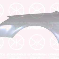 Wing, Left Front, 7840 V6 (CITROEN)