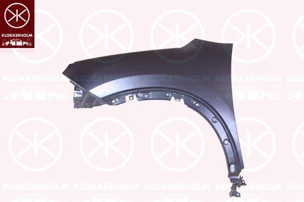 Wing, Left Front, 9825774180 (CITROEN)