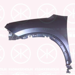 Wing, Left Front, 9825774180 (CITROEN)