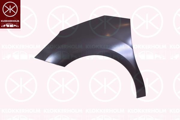 Wing, Left Front, Zinc-coated, 7840 X7 (DS), 7840 X7 (CITROEN)