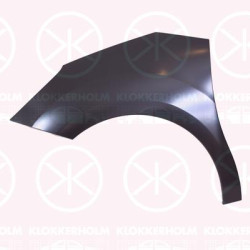 Wing, Left Front, Zinc-coated, 7840 X7 (DS), 7840 X7 (CITROEN)