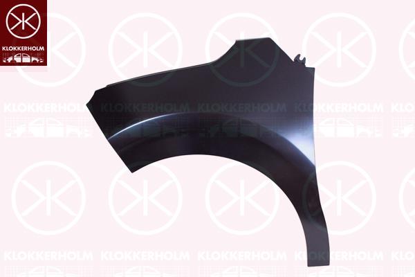 Wing, Left Front, Zinc-coated, 9812515180 (CITROEN)