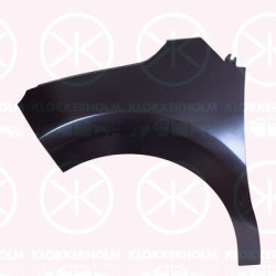 Wing, Left Front, Zinc-coated, 9812515180 (CITROEN)