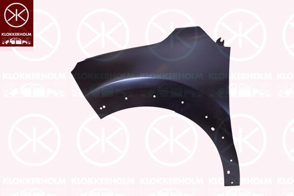 Wing, Left Front, with holes for trim/protective strip, Zinc-coated, 9812869080 (CITROEN)