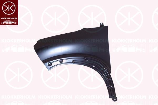 Wing, Right Front, YQ00049280 (CITROEN)