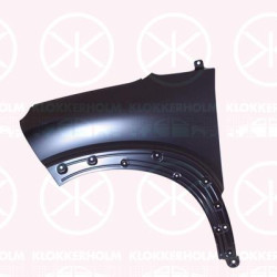 Wing, Right Front, YQ00049280 (CITROEN)