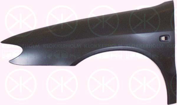 Wing, Left Front, with hole for direction indicator, Zinc-coated, 7840 H6 (DS), 7840 H6 (CITROEN)