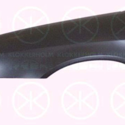 Wing, Left Front, with hole for direction indicator, Zinc-coated, 7840 H6 (DS), 7840 H6 (CITROEN)