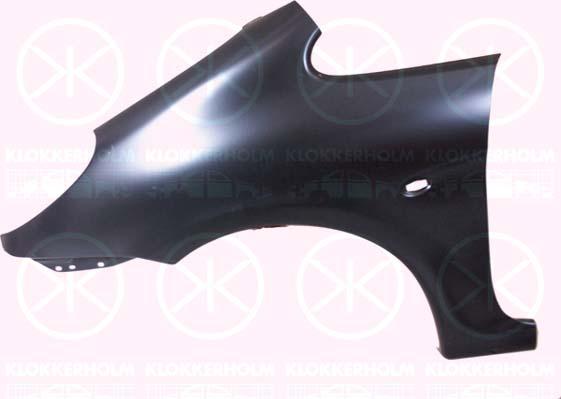 Wing, Left Front, with hole for direction indicator, Zinc-coated, 7840 Q0 (DS), 7840 Q0 (CITROEN), 7840K3 (DS), 7840K3 (CITROEN)