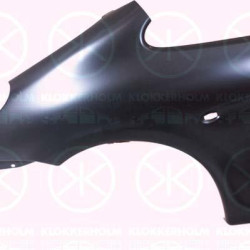 Wing, Left Front, with hole for direction indicator, Zinc-coated, 7840 Q0 (DS), 7840 Q0 (CITROEN), 7840K3 (DS), 7840K3 (CITROEN)