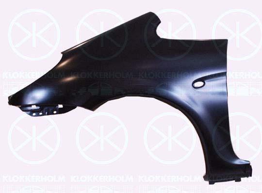 Wing, Left Front, with hole for direction indicator, 7840 Q0 (DS), 7840 Q0 (CITROEN), 7840K3 (DS), 7840K3 (CITROEN)