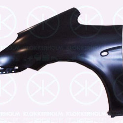 Wing, Left Front, with hole for direction indicator, 7840 Q0 (DS), 7840 Q0 (CITROEN), 7840K3 (DS), 7840K3 (CITROEN)